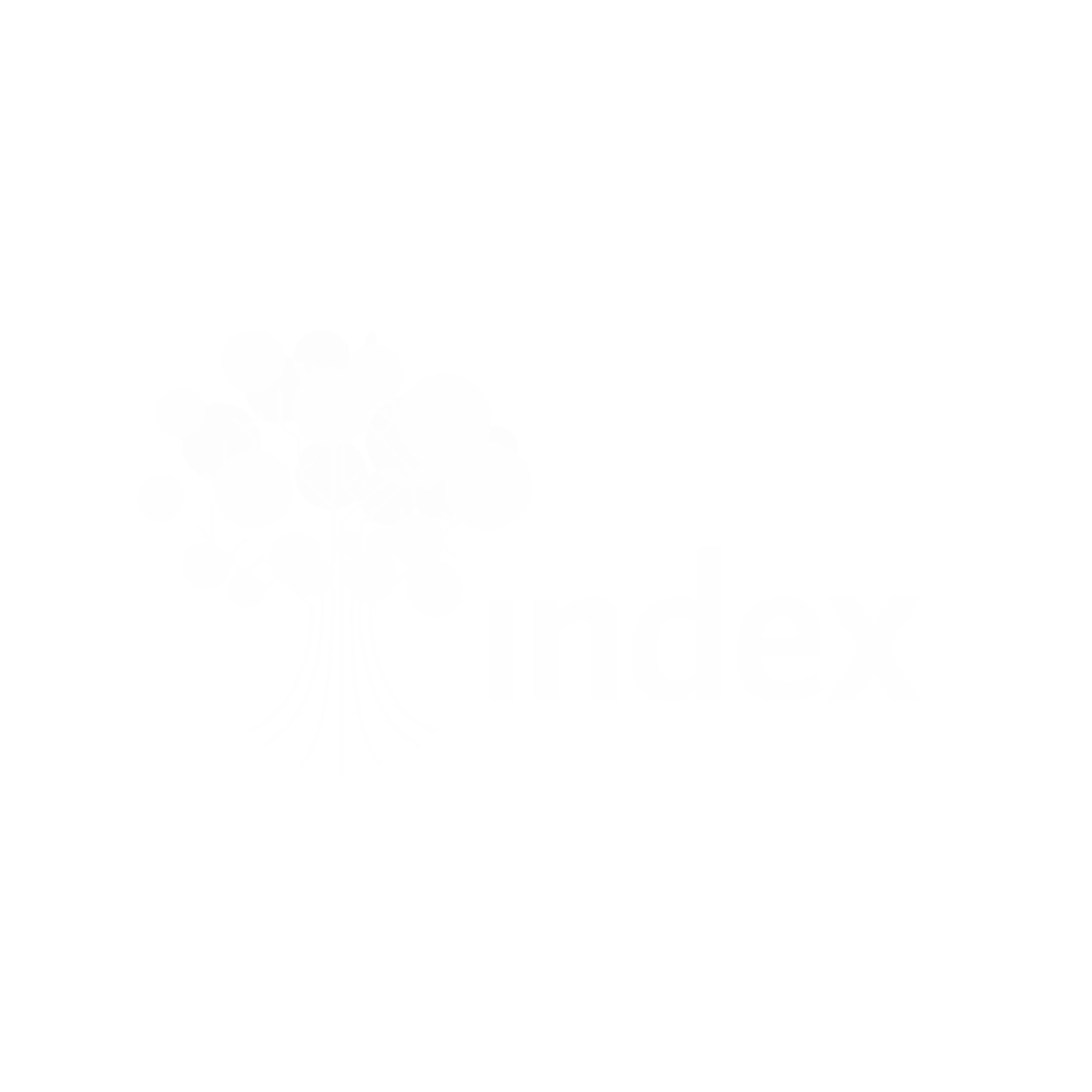 Consejo Nacional de la Industria y Manufactura de Exportación